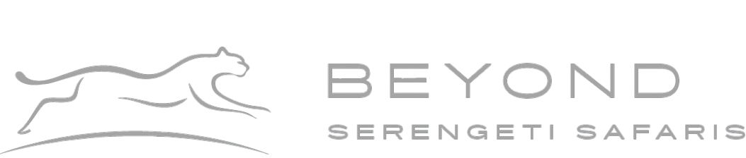 Beyond Serengeti Safaris